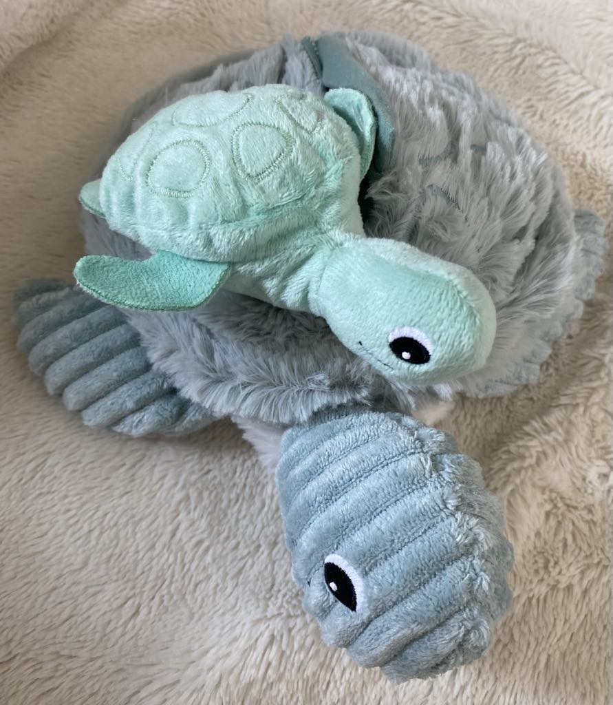 SAUVENOU TORTUE MAMAN & BEBE
