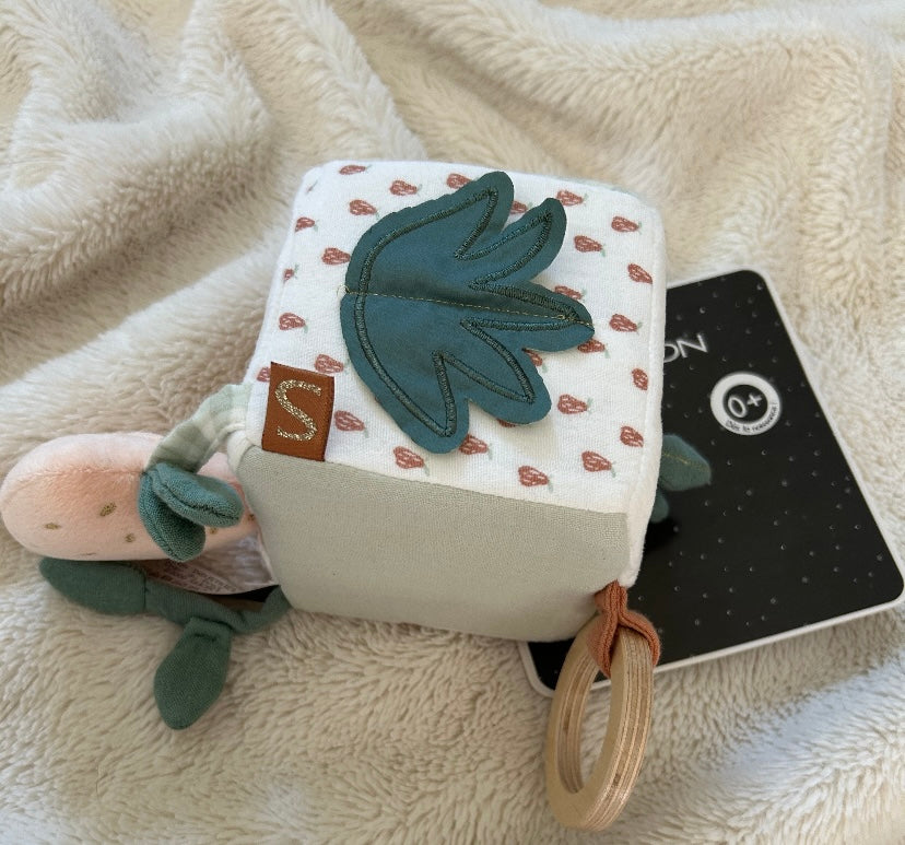 Cube d'activité / BOTANICA